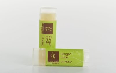 Ginger Lime Lip Mend